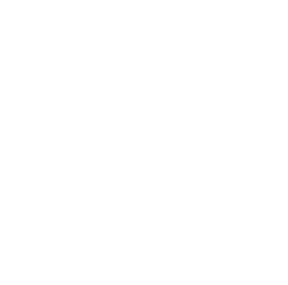 NICHU AUTO
